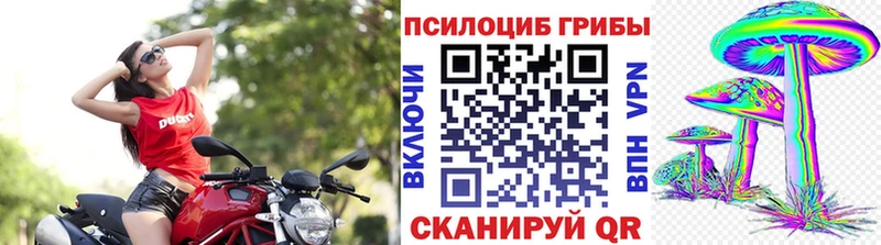 Псилоцибиновые грибы прущие грибы  Шелехов 